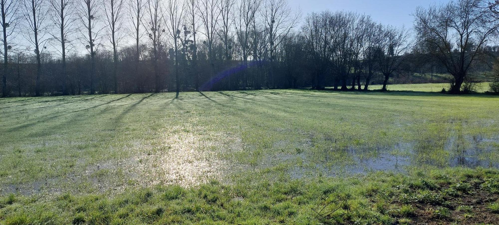Au Grain D'Orge Villa Echire Kültér fotó