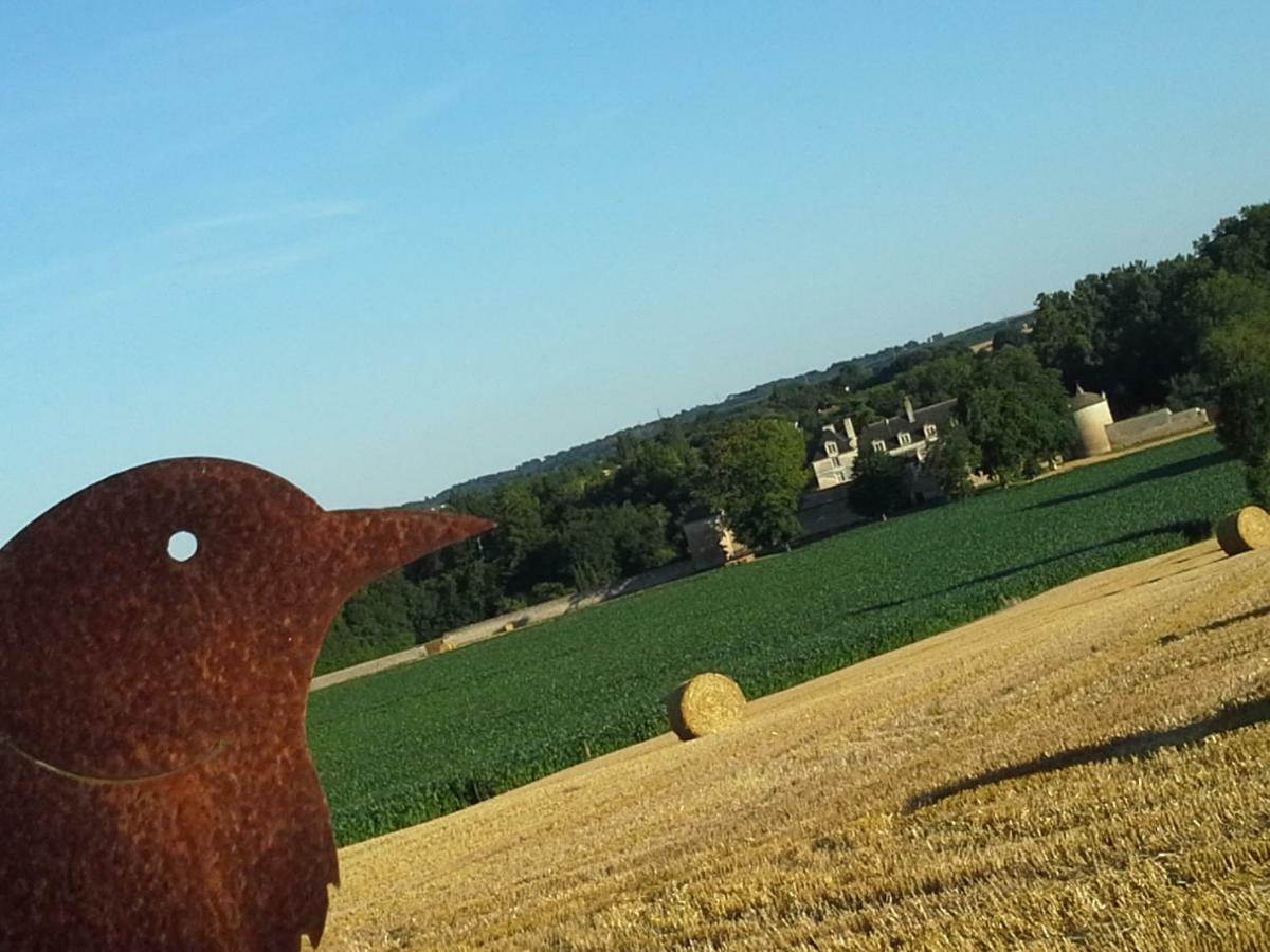 Au Grain D'Orge Villa Echire Kültér fotó