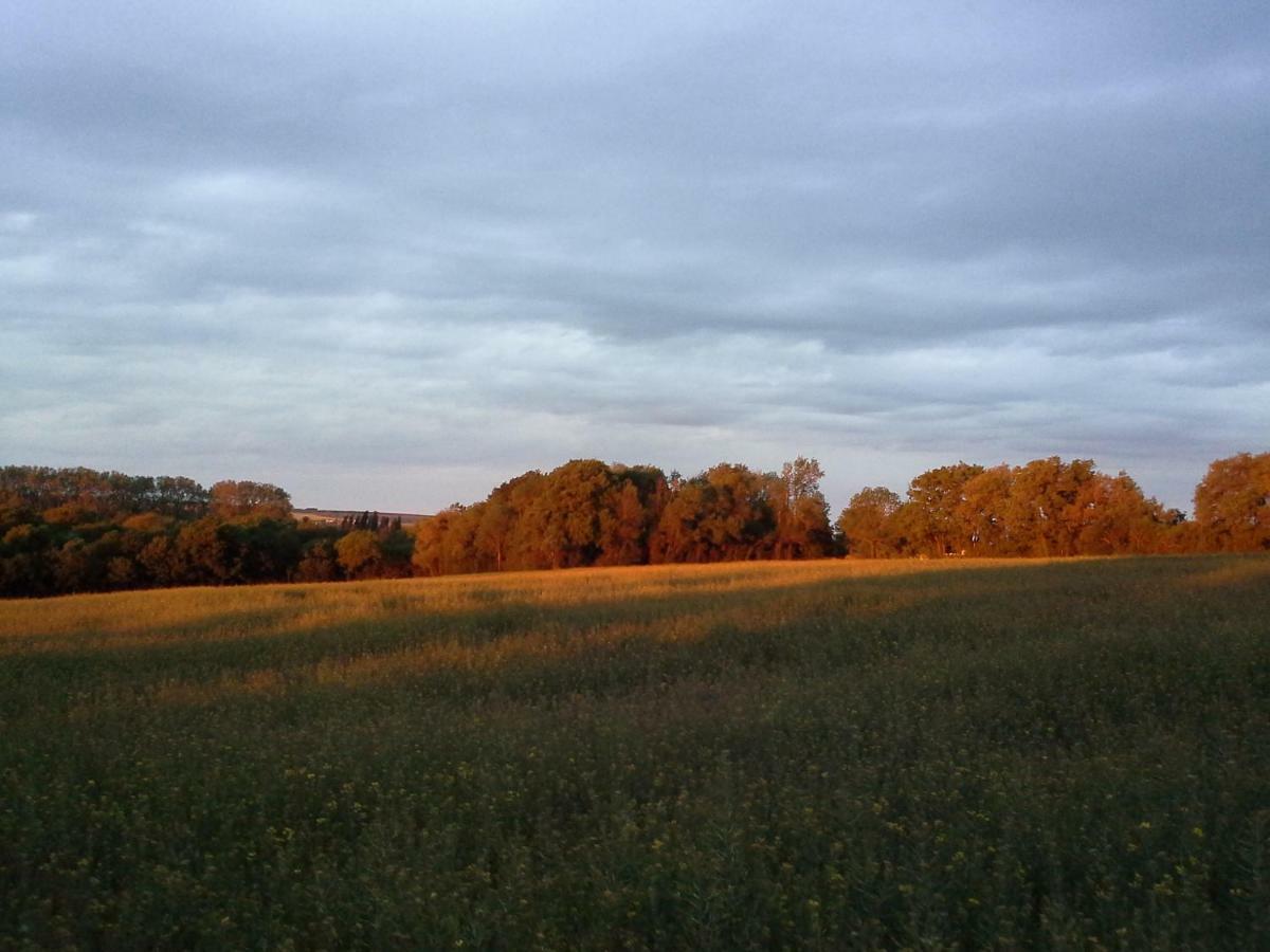 Au Grain D'Orge Villa Echire Kültér fotó